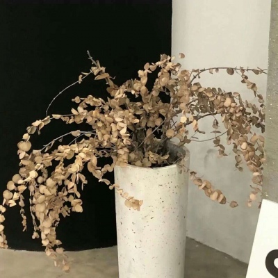 兽设色彩渐变技巧福瑞交流群